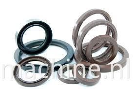 oil seals